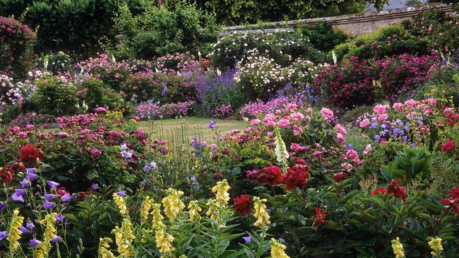 Best Gardens In Hampshire